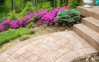 Stamped Concrete & Paver Patio: Combining Asphalt Foundations with Decorative Outdoor Surfaces